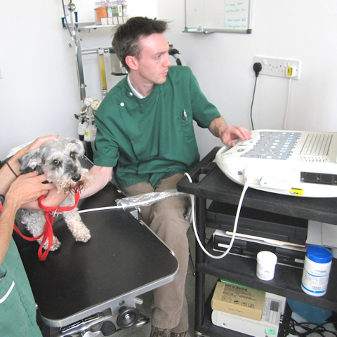 Medical investigation